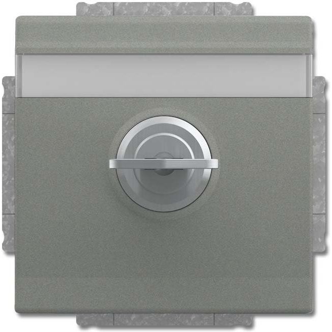 Busch-Jaeger - Steckdose SCHUKO Steckdosen-Einsatz 20 EUKNBSL-803-101 graumetallic