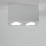 Brumberg Leuchten - Downlight/Strahler/Flutlicht Anbaumodul rechteckig 45125170 2-fach