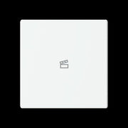 Busch-Jaeger - Bussystem-Tastwippe Abdeckung als Taster LFST/A.1.63.11-884 1f. Symbol Szene