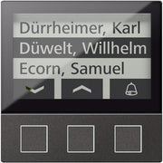 TCS Tür Control - Funktionsmodul für Türkommunikation Display 3 Tasten sw AMI11603-0057 256WE