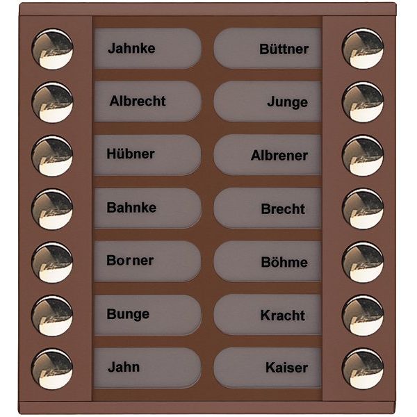 TCS Tür Control - Montageelement für Türstation Audioaußenstation 2-reihig PET14-EB/04 Erw.14 Tasten bronze