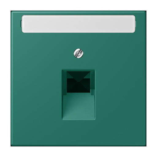 Jung - Einsatz/Abdeckung für Kommunikationstechnik Abdeckung für IAE/UAE LC 969-1 NAUA 216 vert anglais (32040)