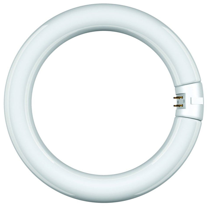 Scharnberger+Hasenbein - Leuchtstofflampe Leuchtstofflampe Ringf. T9 68816 29x409mm G10q 40W840  − 1 Stück
