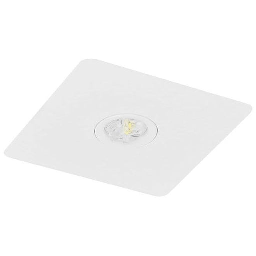 Fischer - Sicherheitsleuchte LED-Sicherheitsleuchte BQEE25I
