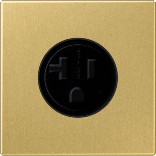 Jung - Steckdose US-Norm NEMA ME 2521-20 C 20A 125V,Me. classic