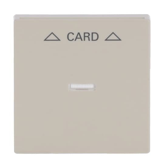 Busch-Jaeger - Abdeckung/Bedienelement für Installationsschalterprogramme Zentralscheibe savanne/ews 1792-82 für Cardschalter