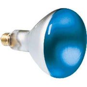 Scharnberger+Hasenbein - Allgebrauchsglühlampe mit Reflektor Reflektorlampe 80x110mm 41630 R80 E27 230V 60W bl
