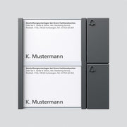 Siedle&Söhne - Funktionsmodul für Türkommunikation Bus-Tasten-Modul BTM 650-02 DG dgr/gli