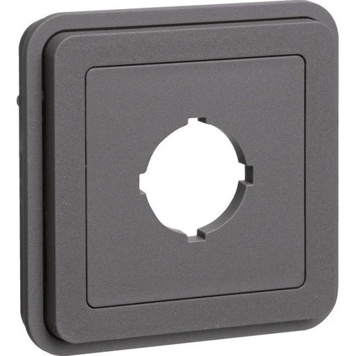 Berker - Adapter für Befehlsgeräte Einsatz mit Stecköffnung 42913505 gr matt − 1 Stück by Berker
