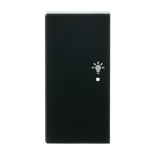 Busch-Jaeger - Bussystem-Tastwippe Wippe 2-f li, Symbol Licht 6231-21-81 anthrazit