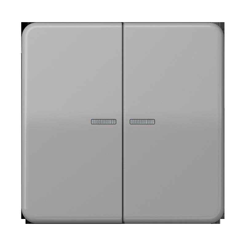 Jung - Bedienelement intelligent Taster 2fach BT CD 17102 GR JUNG HOME