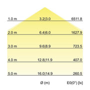 Brumberg Leuchten - Decken-/Wandleuchte LED-Anbau-Flächenleuchte 13693174 direkt 4000K