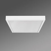 Regiolux - Decken-/Wandleuchte LED-Anbauleuchte aduna-A #62164016670 940 DALI