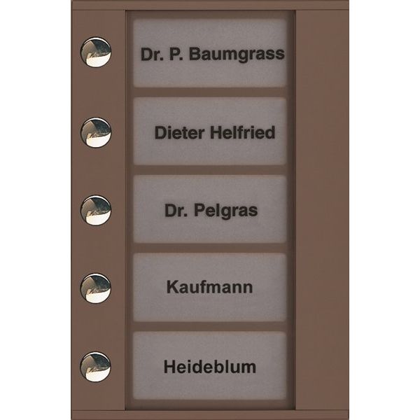 TCS Tür Control - Montageelement für Türstation Audioaußenstation 1-reihig PDT05-EB/04 Erw. 5 Tasten bronze