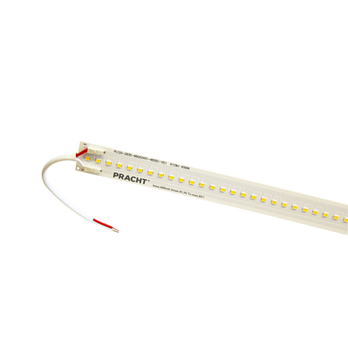 Pracht - Lichttechnisches Zubehör/Ersatzteile für Leuchten Austauschset LED-Modul LED-ModulONE#5552309  − 1 Stück
