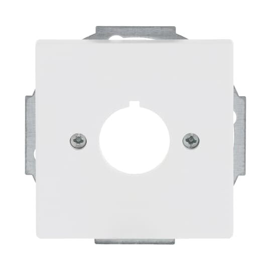 Busch-Jaeger - Einsatz/Abdeckung für Kommunikationstechnik Zentralscheibe stws mt 2533-884 22,5mm Befehlsgeräte