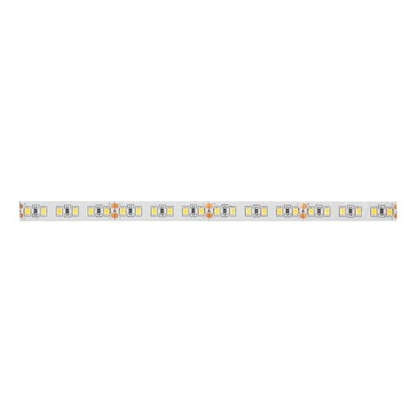Brumberg Leuchten - Lichtschlauch/-band LED-Flexband 5000mm 15206005 24V 6000K IP00
