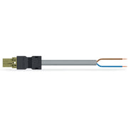 WAGO - Konfektionierte Leitung für steckbare Gebäudeinstallation konfekt. Anschlussleitung 771-8992/206-505 Eca,Stecker