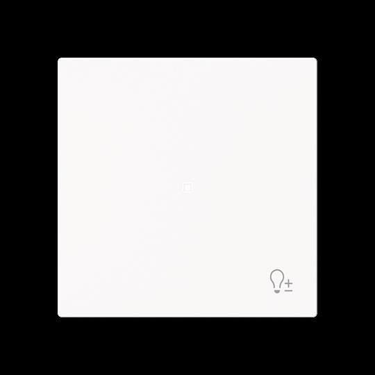 Busch-Jaeger - Bussystem-Tastwippe Wippe 1-fach mit Symbol 6234-10-44M Dimmer