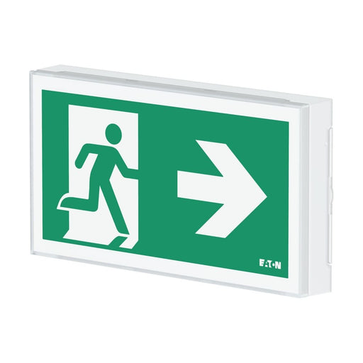 Ceag Notlichtsysteme - Sicherheitsleuchte LED-Rettungszeichenleuchte FT2EW4ICGS ZB, Piktos, Wand