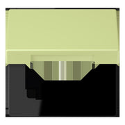 Jung - Abdeckrahmen Klappdeckel m. Stellfeder LC 990 BFKL 222 vert jaune clair