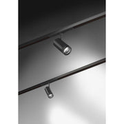 Brumberg Leuchten - Downlight/Strahler/Flutlicht LED 48V Schienenstrahler 43130083 dimmbar