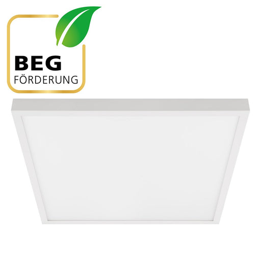 EVN Lichttechnik - Decken-/Wandleuchte LED-Deckenanbaupanel EPSU620125