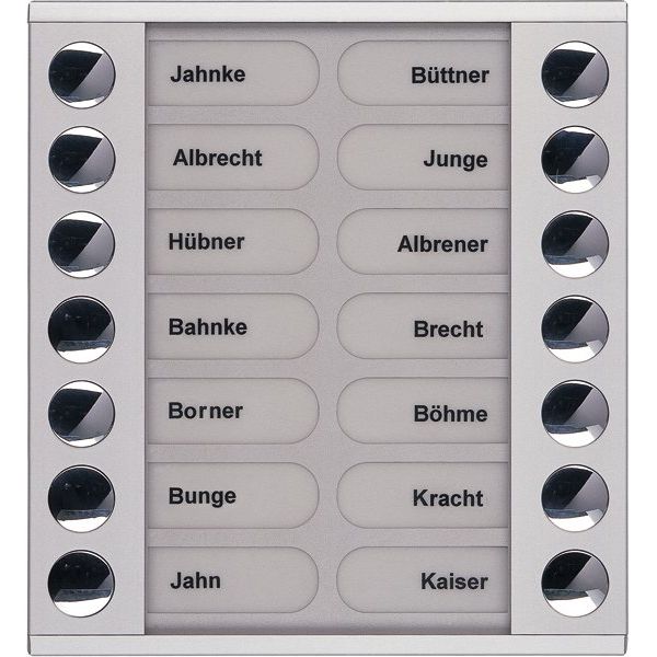TCS Tür Control - Montageelement für Türstation Audioaußenstation 2-reihig PET14-EN/04 Erw.14 Tasten silber